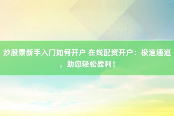 炒股票新手入门如何开户 在线配资开户：极速通道，助您轻松盈利！