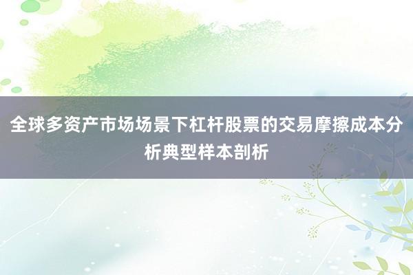 全球多资产市场场景下杠杆股票的交易摩擦成本分析典型样本剖析