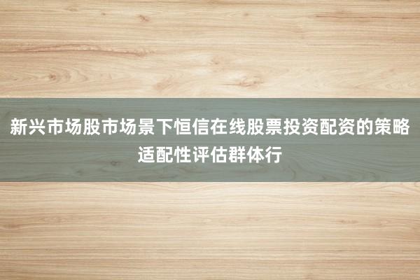 新兴市场股市场景下恒信在线股票投资配资的策略适配性评估群体行