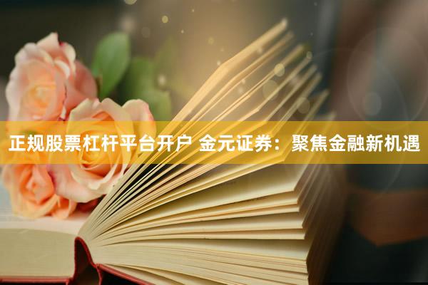 正规股票杠杆平台开户 金元证券：聚焦金融新机遇